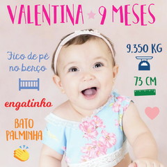 Anexos