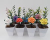 Imagem 1 - Mini Arranjo com Flores