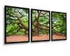 Imagem 2 - Kit 3 Quadros Decorativos Florestas Arvores Botânico Moldura