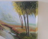 Imagem 2 - Lagoa 60x90