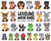 Imagem 1 - KIT DIGITAL ANIMAIS DO BOSQUE
