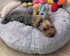 Imagem 2 - Cama Nuvem de Pelúcia - 100cm - Cães