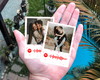 Imagem 1 - Foto Polaroid - 5x7 - Spotify Code - com Imã