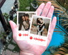 Imagem 1 - Foto Polaroid - 5x7 - Spotify Code - COM IMÃ