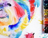 Imagem 4 - Pintura Em Aquarela De Seu Pet