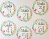 Imagem 5 - Kit Completo Mesversário Bebê com Topos de Bolo e Adesivos