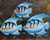 Imagem 1 - Peixe Azul Trio Parede