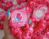 Imagem 1 - 20 Mimos Xuxinhas em Cetim, Personalizada com l