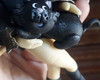 Imagem 4 - Bruxa Suspensa