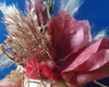Imagem 3 - Kit com 10 Mini Arranjo Flores Secas