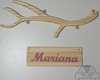 Imagem 1 - Galho de Pinus com Placa com Nome mdf Colorido