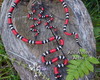 Imagem 1 - Conjunto Cobra Coral em Macramê