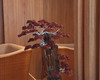 Imagem 1 - Bonsai Sharimiki
