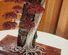 Imagem 4 - Bonsai Sharimiki