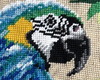 Imagem 3 - Tela com Arara Bordada a Mão com Lã