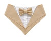 Imagem 2 - Bandana Smoking para Pets Tam G- Pet Wedding Dress