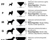 Imagem 4 - Bandana Smoking para Pets Tam G- Pet Wedding Dress
