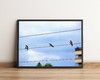 Imagem 1 - Quadro com Pássaros no Fio e Céu Azul 764