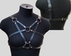 Imagem 1 - Harness8