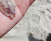 Imagem 3 - Gargantilha com Coral