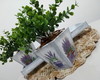 Imagem 3 - Conjunto 3 Cachepôs com Folhagem