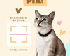 Imagem 5 - Placa Pix Qr Code Personalizada