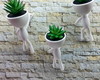 Imagem 5 - 3 Mini Vaso Bob Escalando com Suculenta Artificial ( Branco)