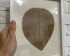Imagem 4 - Kit com 2 Quadros de Madeira em Macramê