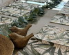 Imagem 2 - Kit 10 Americanos Acqua Bambu