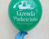 Imagem 4 - Bexigas Personalizadas com a Sua Logomarca