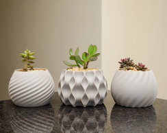 Kit Cachepots para Suculentas
