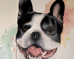 Retrato Pet Realista em Aquarela