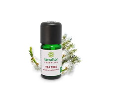 Tea Tree (melaleuca) 10ml Terra Flor