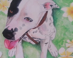 Aquarela Personalizada