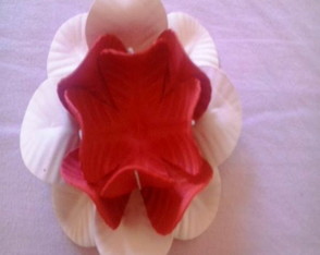Forminha Calandra