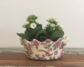 Mini Floreira com Alca Floral