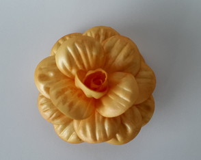 Flores - Camélia