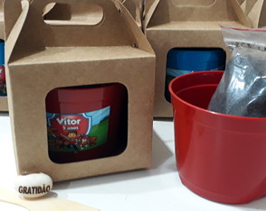 Al001 - Kit Cultivo Embalagem Visor e Semente Personalizada