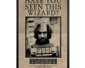 Poster Sirius Black Quadro Decorativo Harry Potter