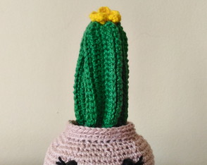 Cacto San Pedro Amigurumi crochê