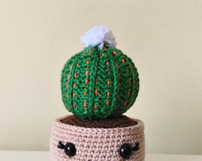 Cacto Bola Amigurumi crochê