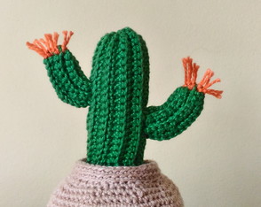 Cacto Mexicano Amigurumi crochê