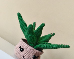 Aloe Vera Amigurumi crochê