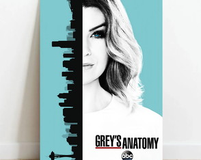 Quadro Decorativo A4 - Grey's Anatomy