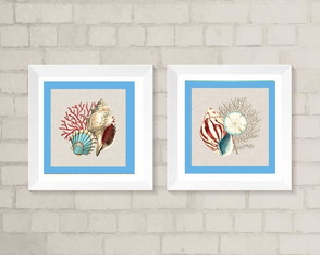 Conjunto de Quadros para Lavabo conchas. caramujo COM VIDRO
