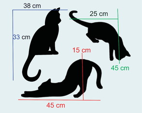 Gatinhos para Batente de Porta