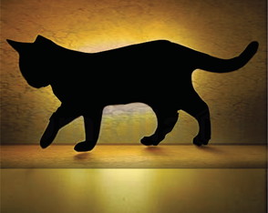 o Gato Mais Lindo em Minha Parede Um Led de mdf