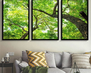 Quadros Arvore Verde Com Vidro