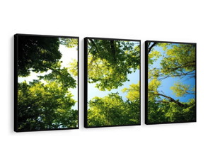 Quadros Floresta: Com Vidro