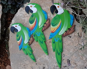 Arara verde trio